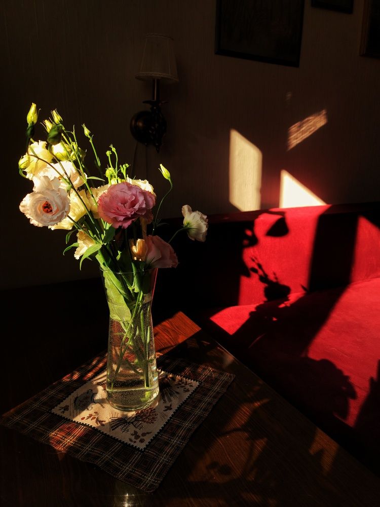 Photograph by Анна Вокуева