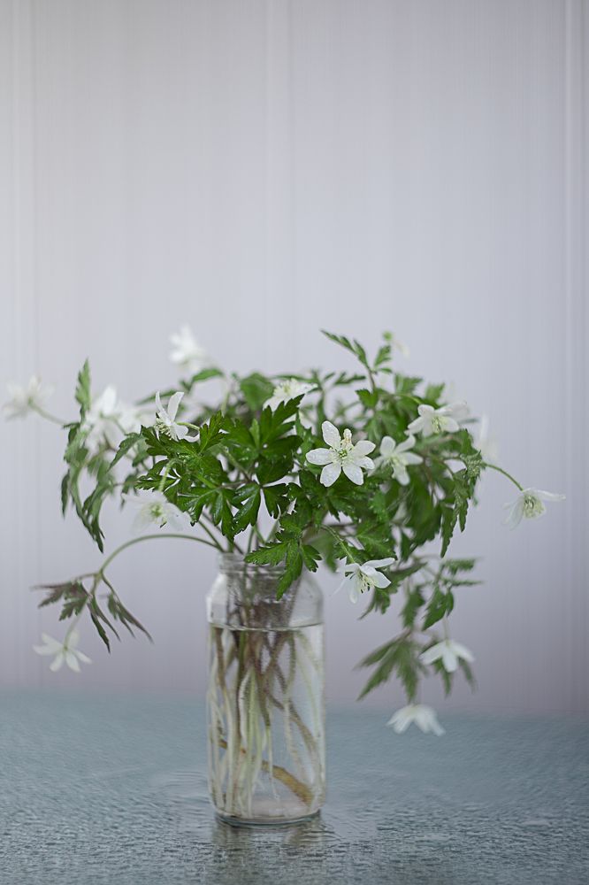 Photograph by Анастасия Пипко