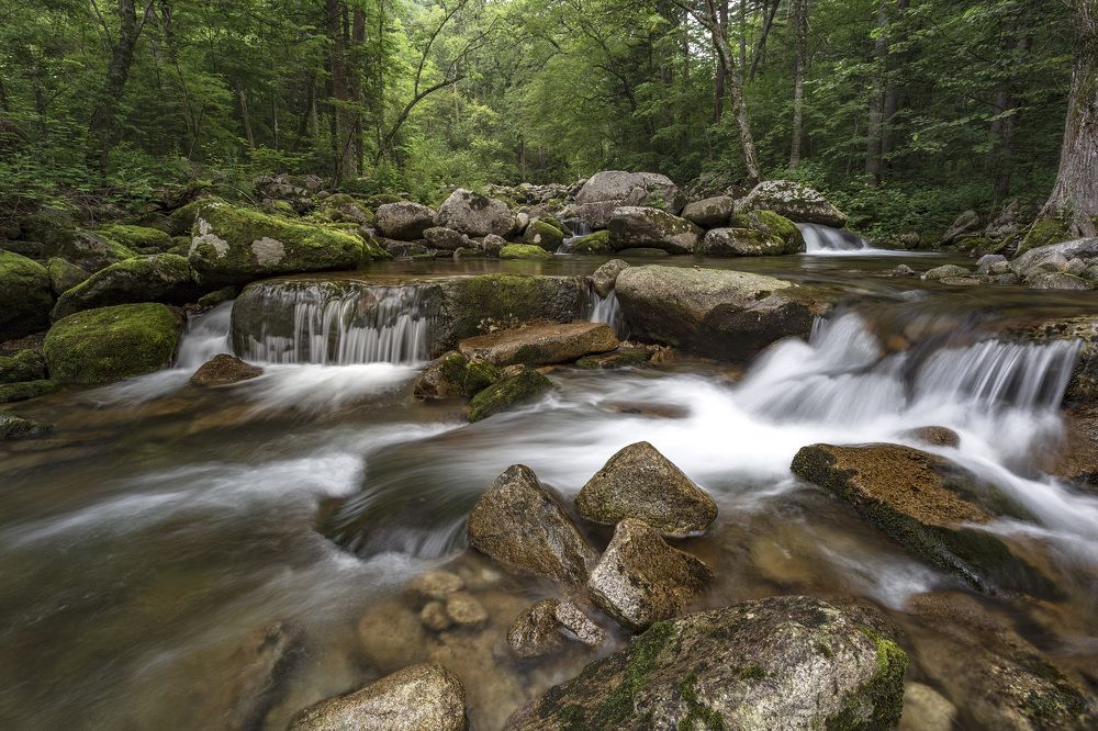 Photograph by ALEKSANDR KUZNETSOV