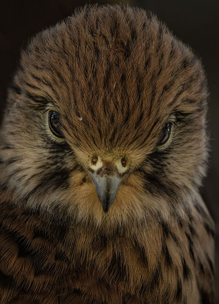 Photograph by Markéta Mastešová