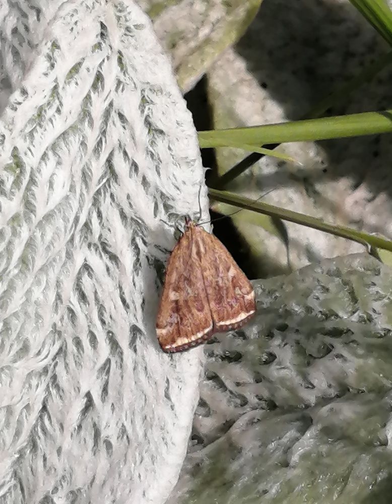 Photograph by Tany Pol