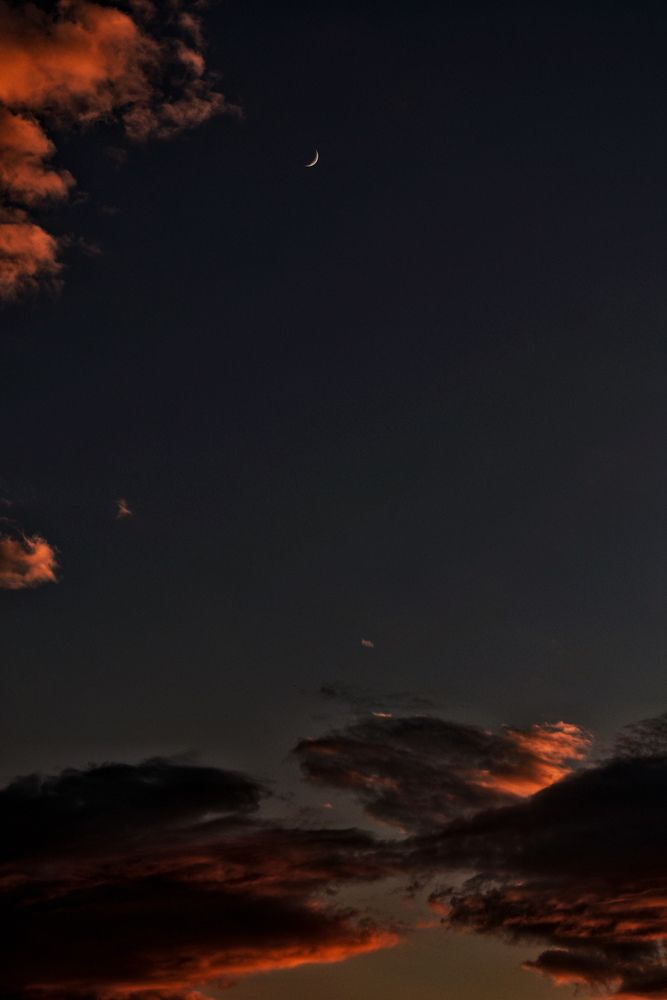 Photograph by Зульфия Точиева