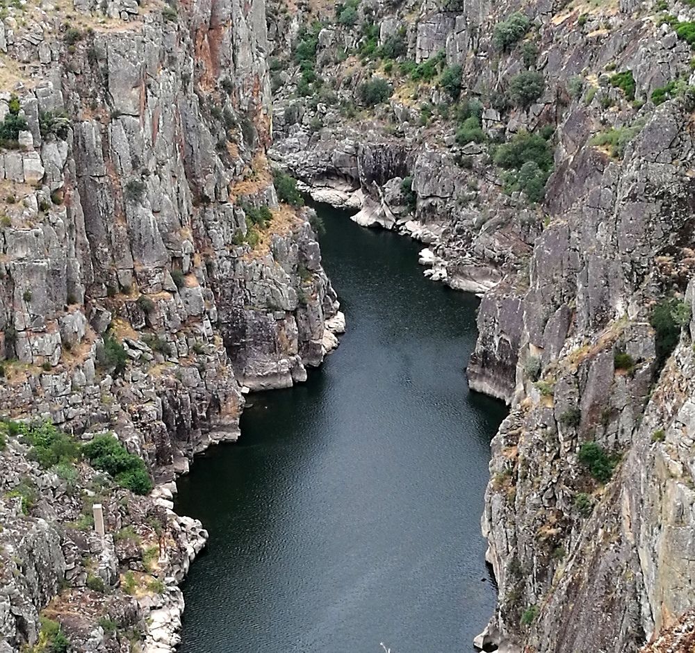 Terra fria Douro internacional