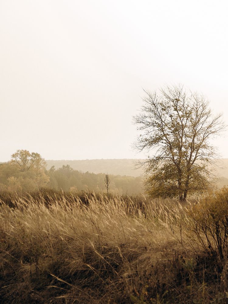 Photograph by Ирина Фатеева