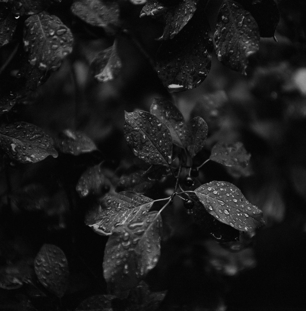 Photograph by Марина Хабибуллина