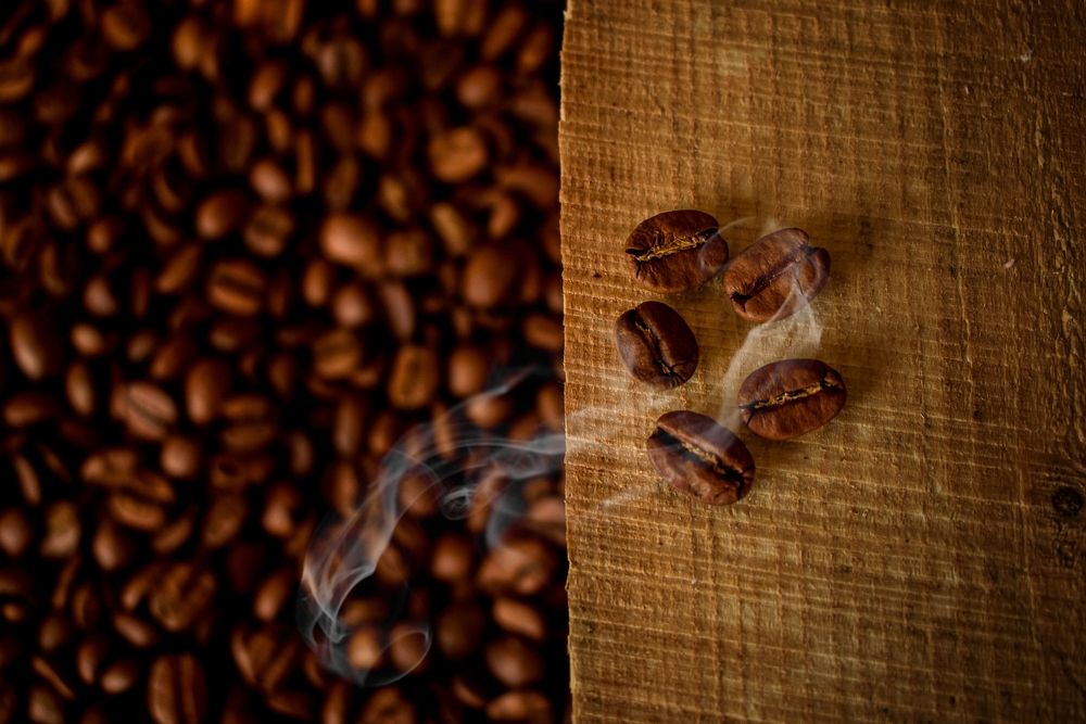 Photograph by Зульфия Точиева