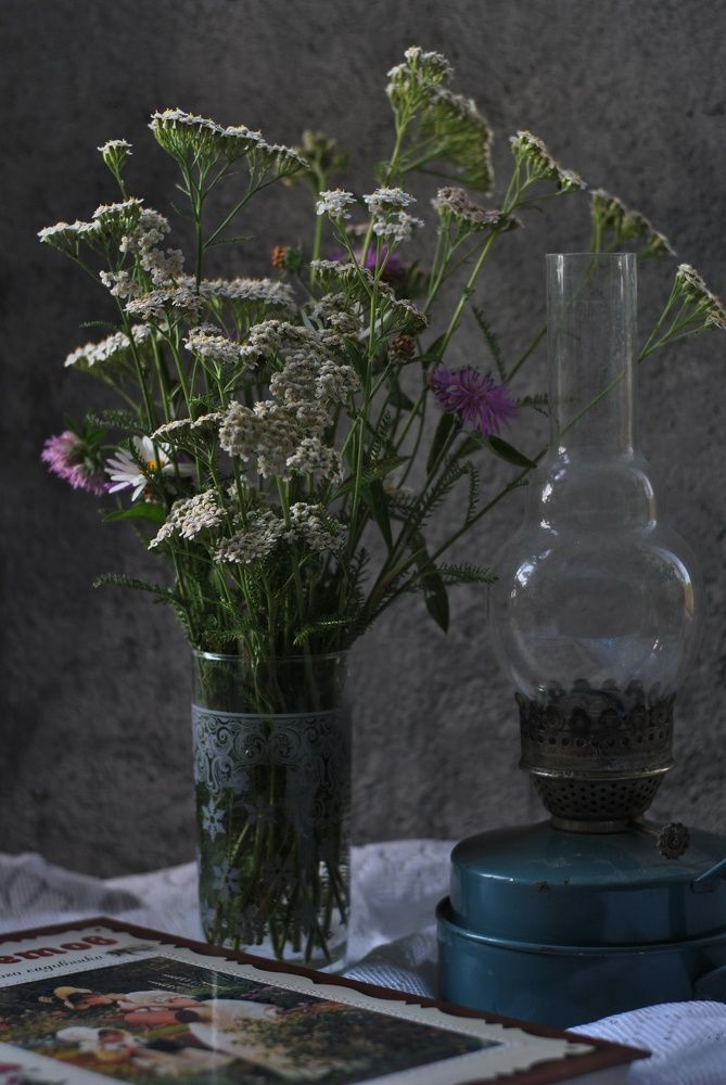 Photograph by Анастасия