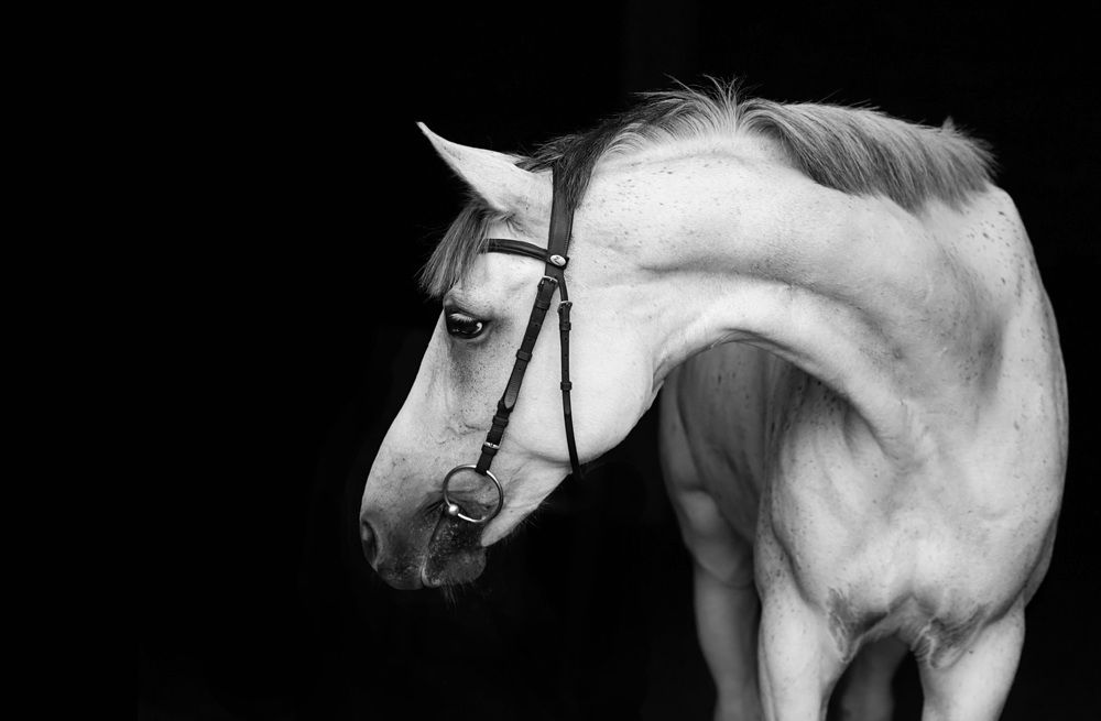 Photograph by Любовь Похабова