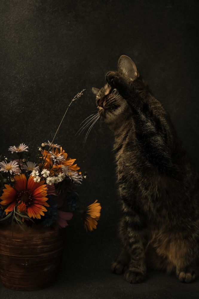 Photograph by Нежданна Казаченко