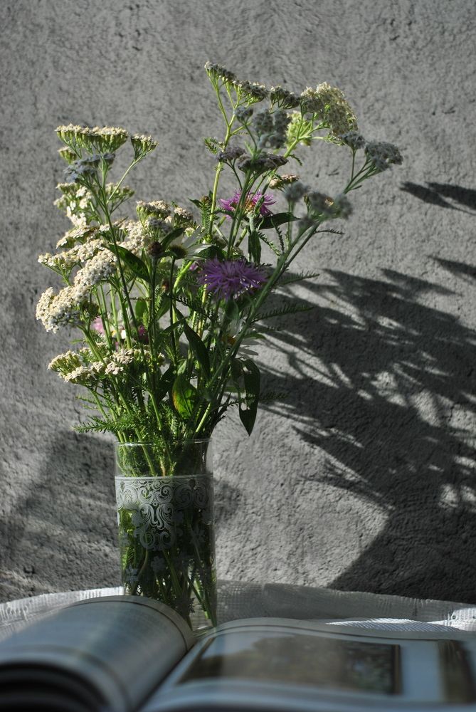 Photograph by Анастасия