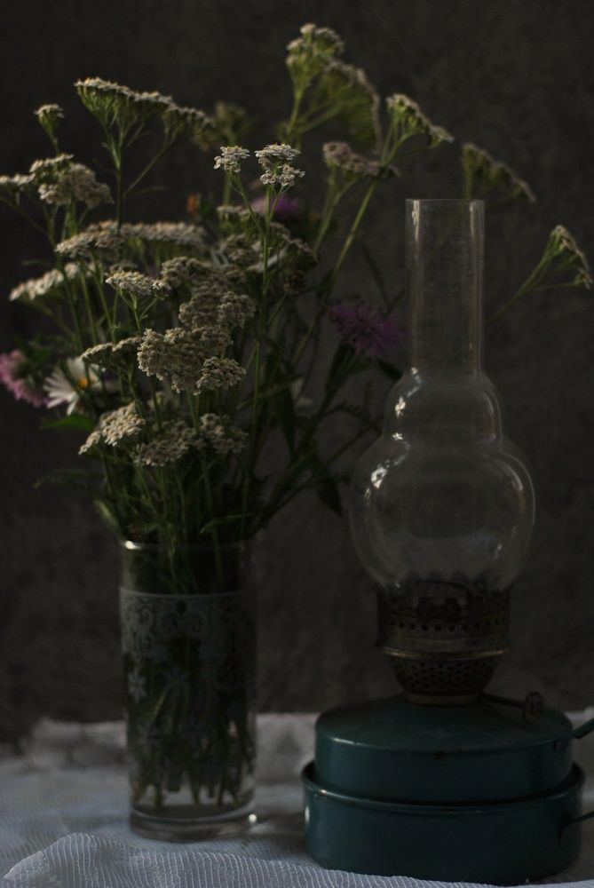 Photograph by Анастасия