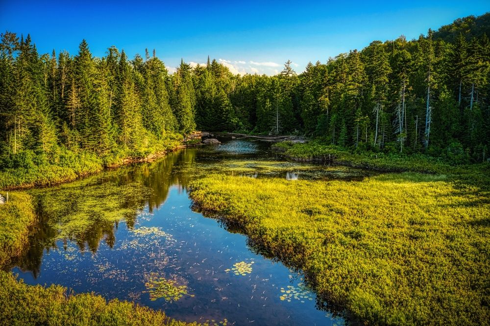 Photograph by Yves Lanthier