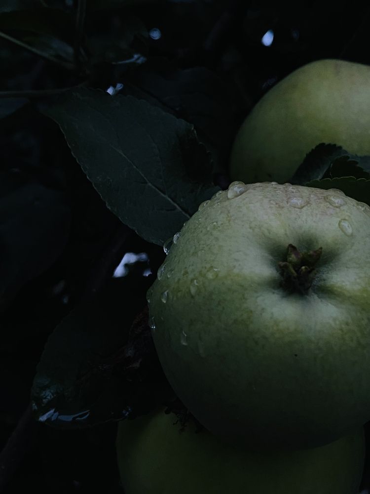 Photograph by Anastasia Kirri