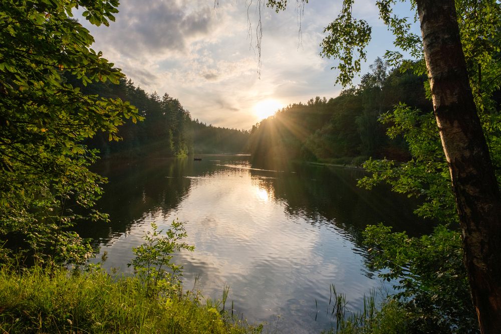 Photograph by Nick Tishkevich