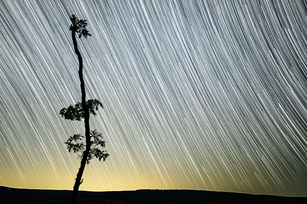 Photograph by Andrew Becker