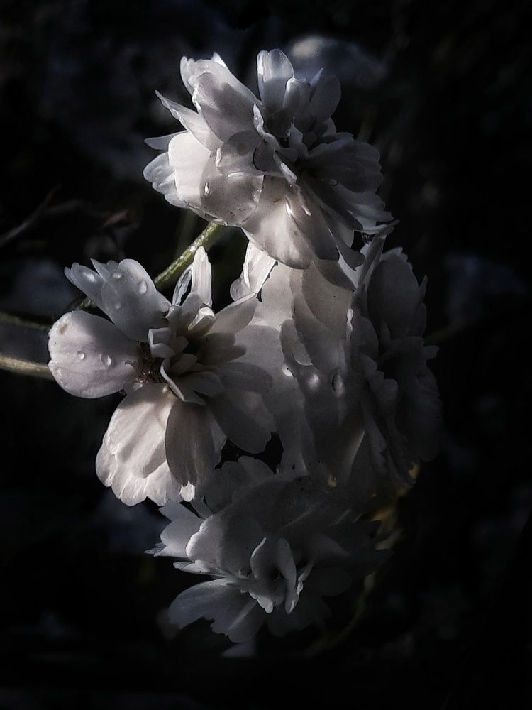 Photograph by Анастасия Дубинина