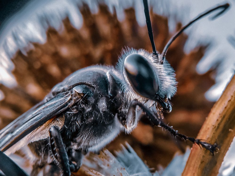 Photograph by Feri Fikri