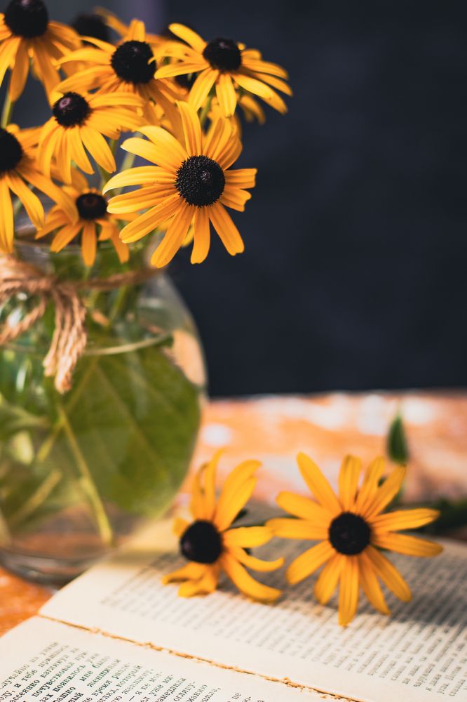 Photograph by Дарья Калугина