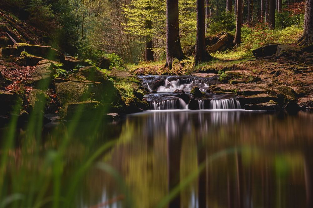 Photograph by Jan Musil