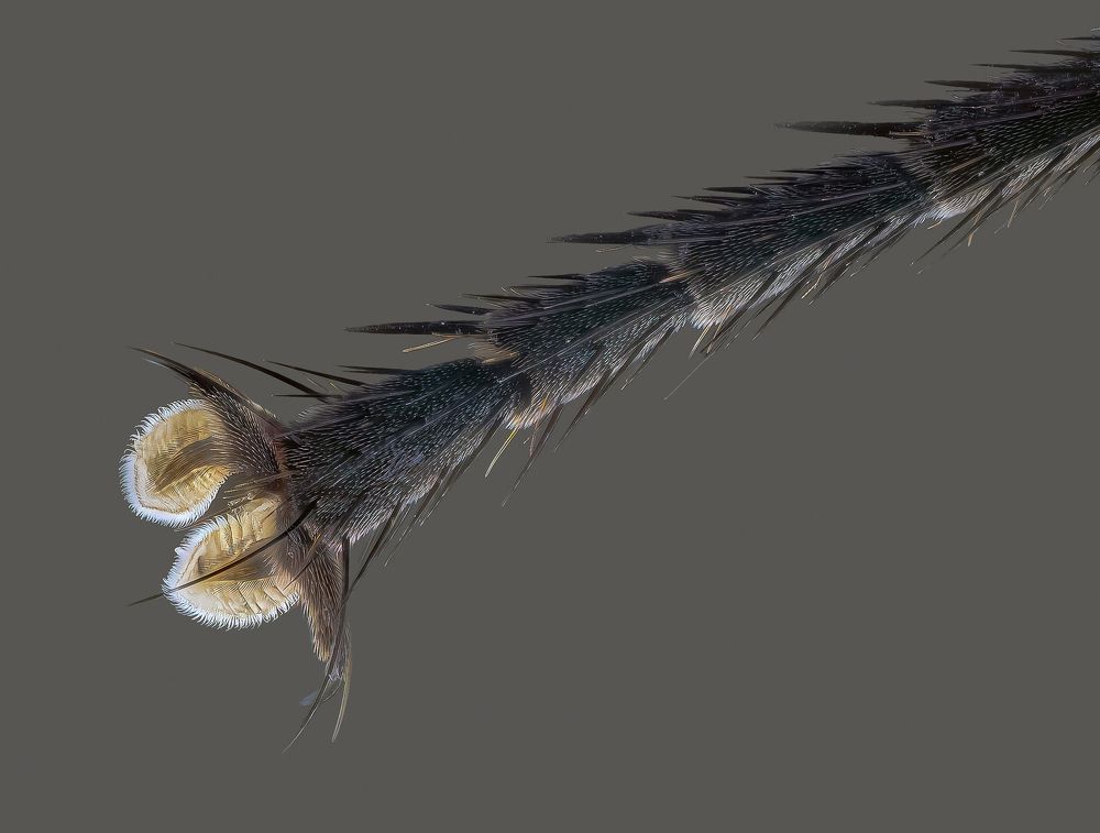 Photograph by Dariusz