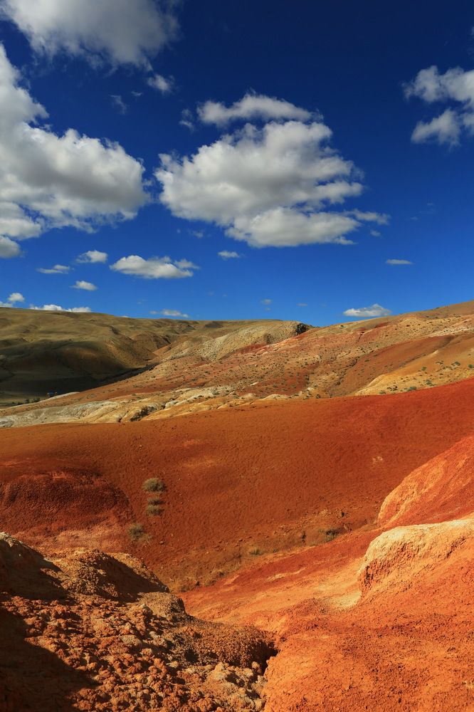 Photograph by Ирина Сушко