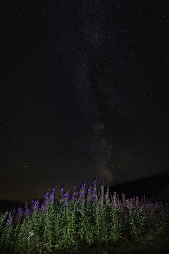 Photograph by Andrej Nihil