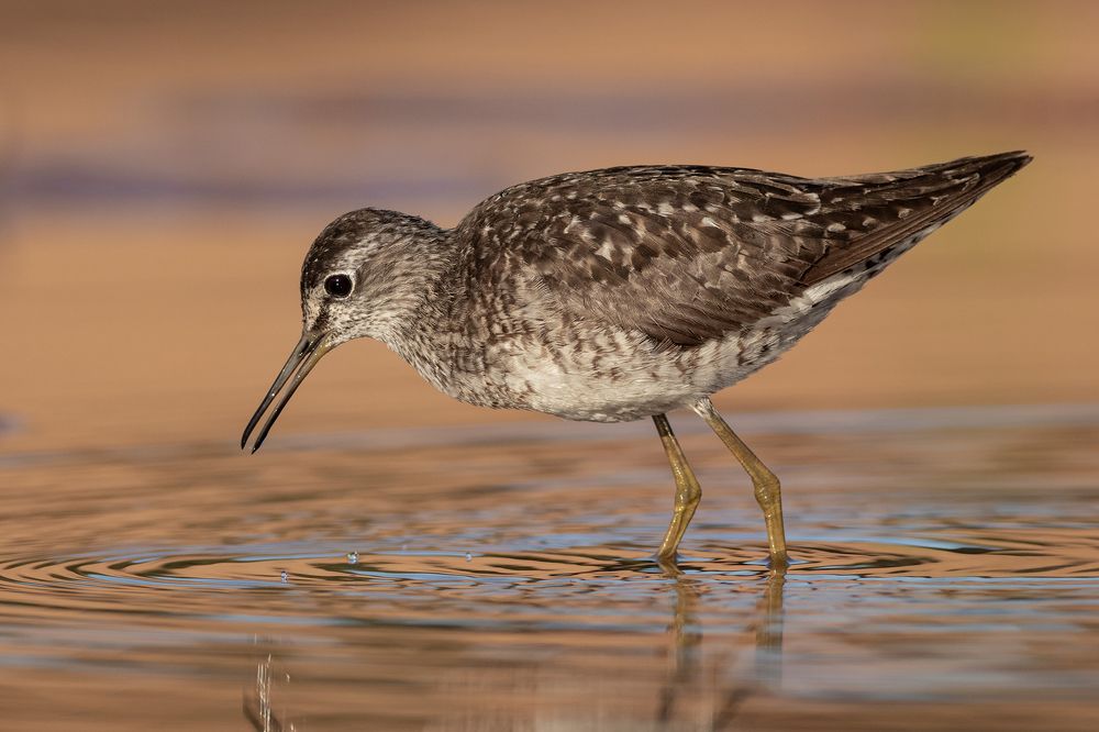 Photograph by Павел Краснослободцев