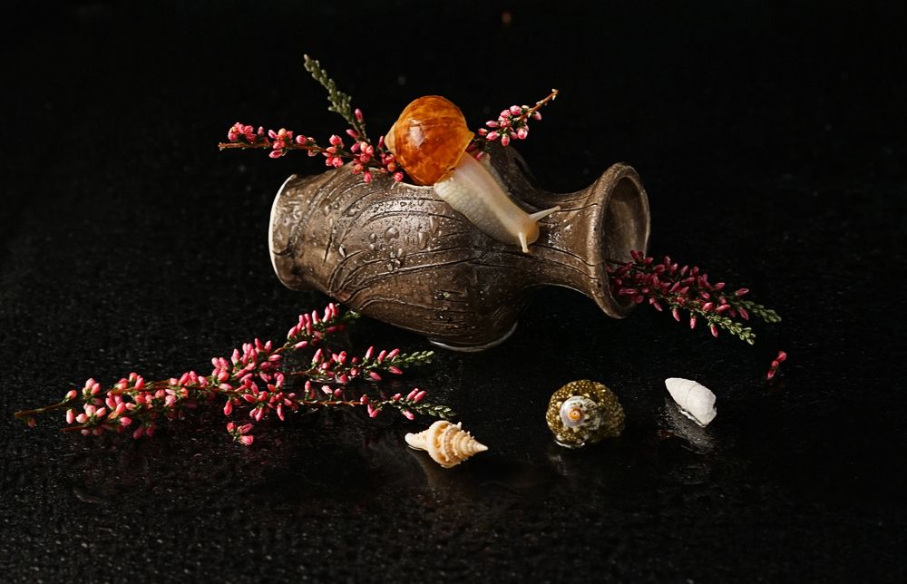 Photograph by Людмила ЧЕРНИКОВА