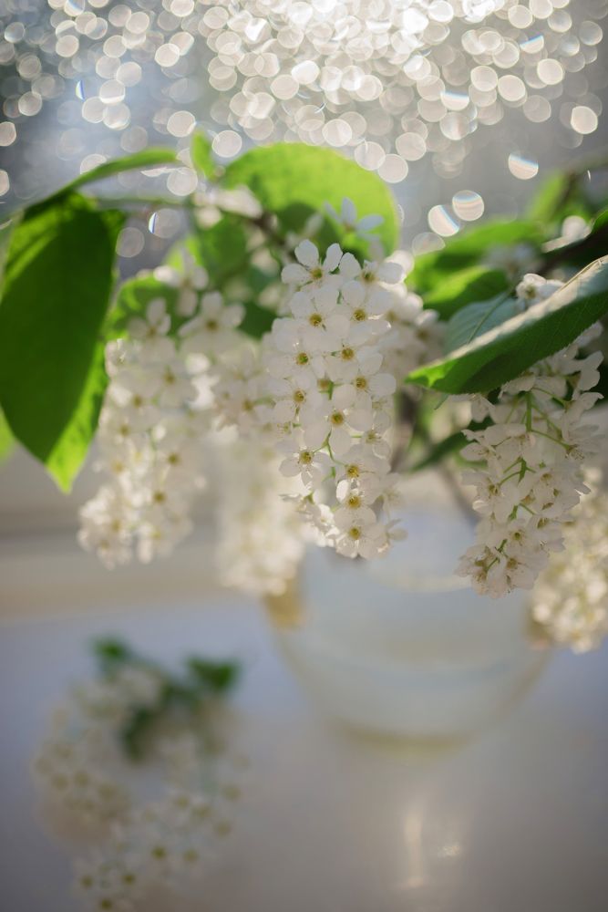 Photograph by Ольга Удилова