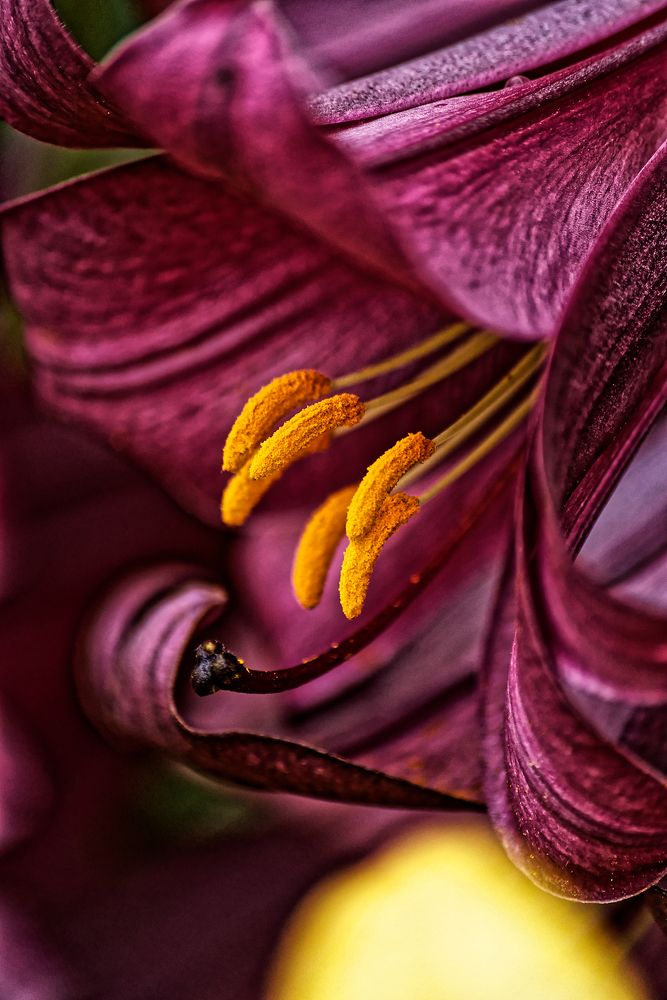 Photograph by Aleksei Degtjarjov