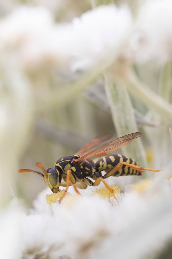 Photograph by Валерия Генрисова