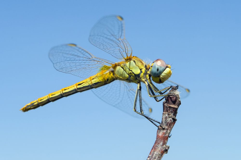 Photograph by Владимир Богданов