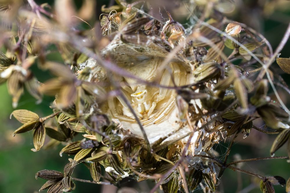 Photograph by Владимир Богданов