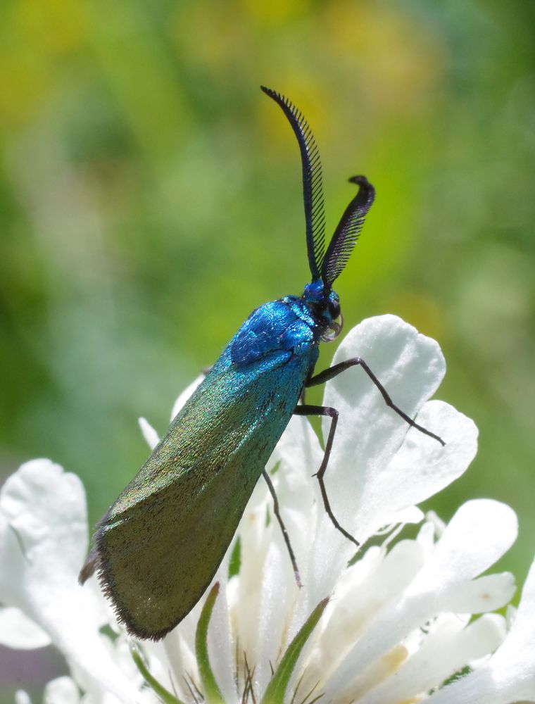 Photograph by Владимир Богданов