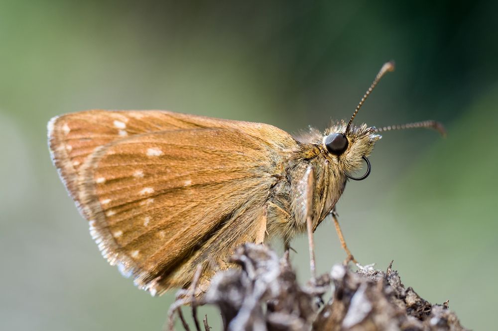 Photograph by Владимир Богданов