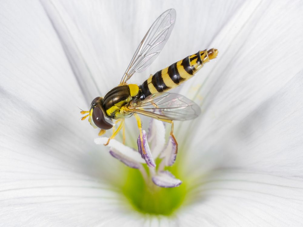 Photograph by Владимир Богданов