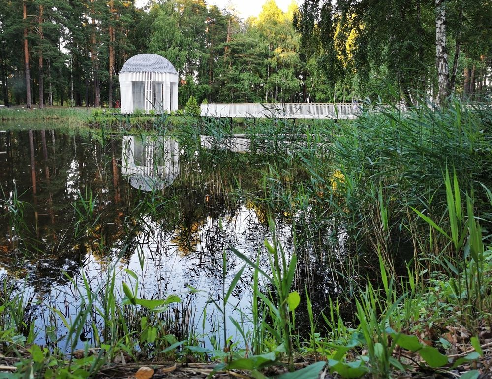 Спокойствие. Выкса. 2022