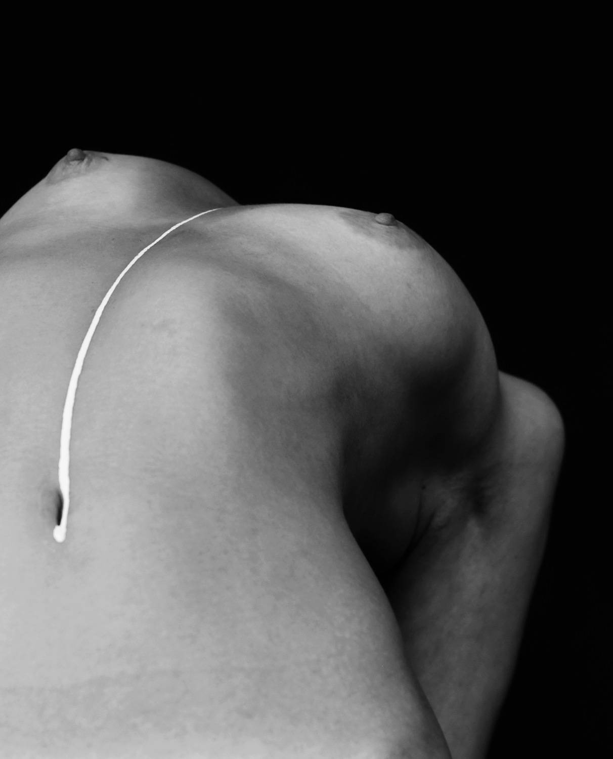 Photo #7878571