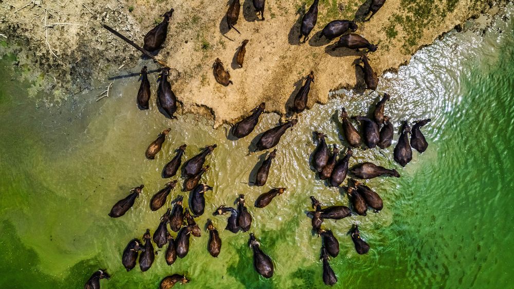 Photograph by Andrej Nihil