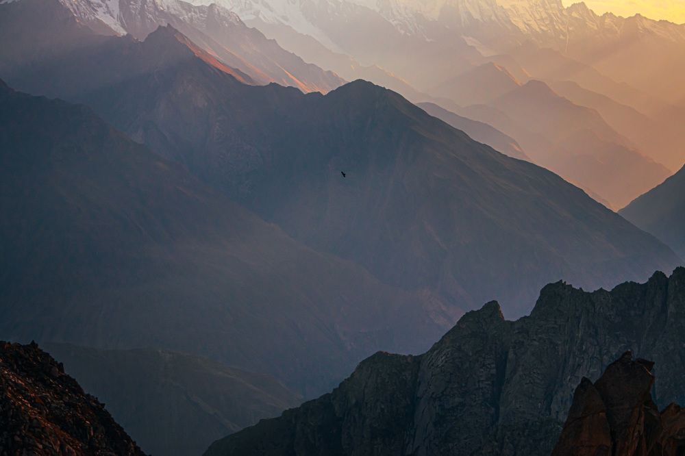 Фотография автора Ahtisham Bakoo