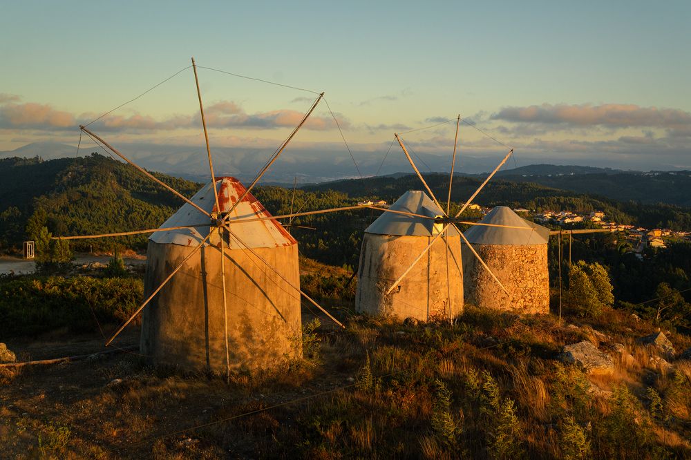 Photograph by Veaceslav Chisalita