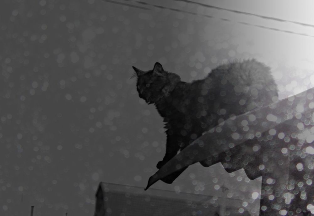 Юнный демон