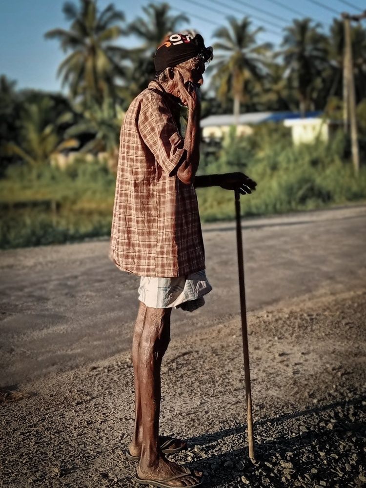 Photograph by Thimir adinisuru Ayththapulige