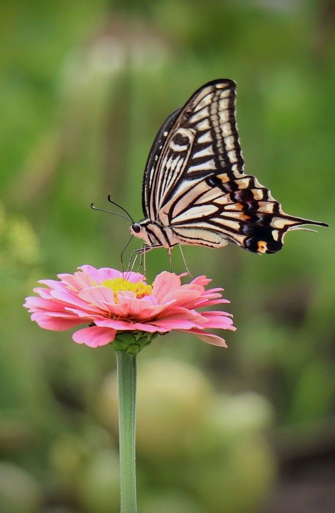 Photograph by Александра Безродная