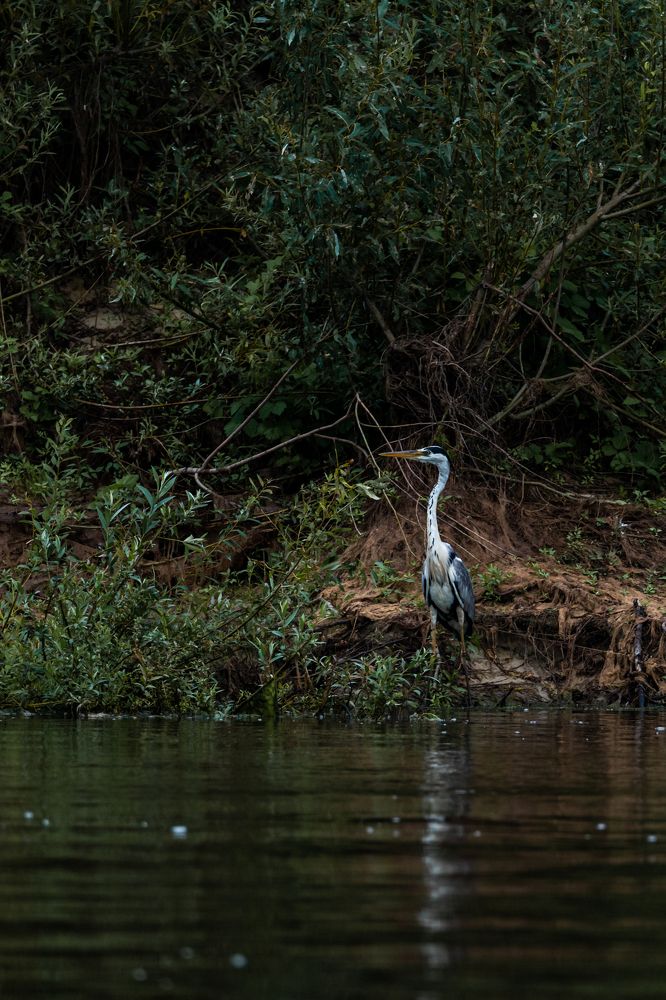 Photograph by Владимир Коновалов