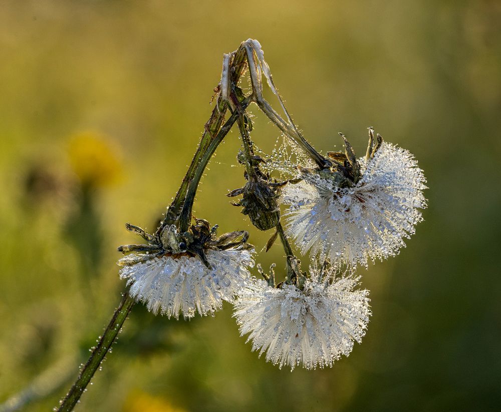 Photograph by Юрий Чернов