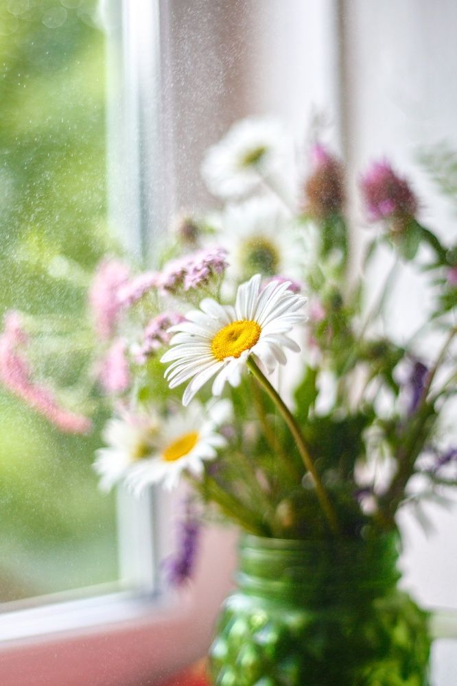 Photograph by Эльза Юнусова