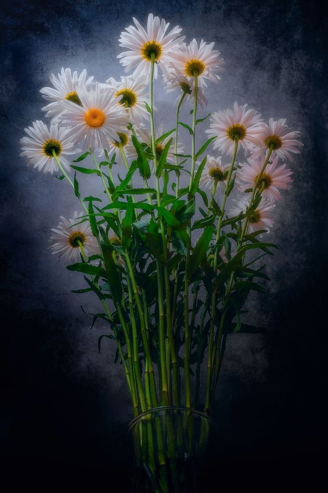 Photograph by Владимир Ганзиков