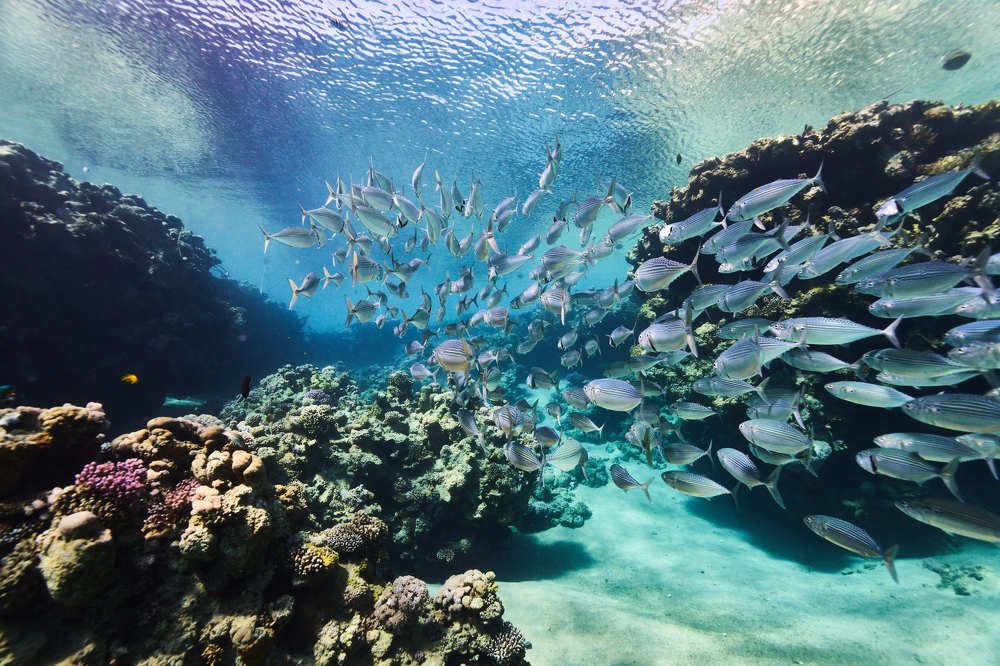 Photograph by Павел Карчевский