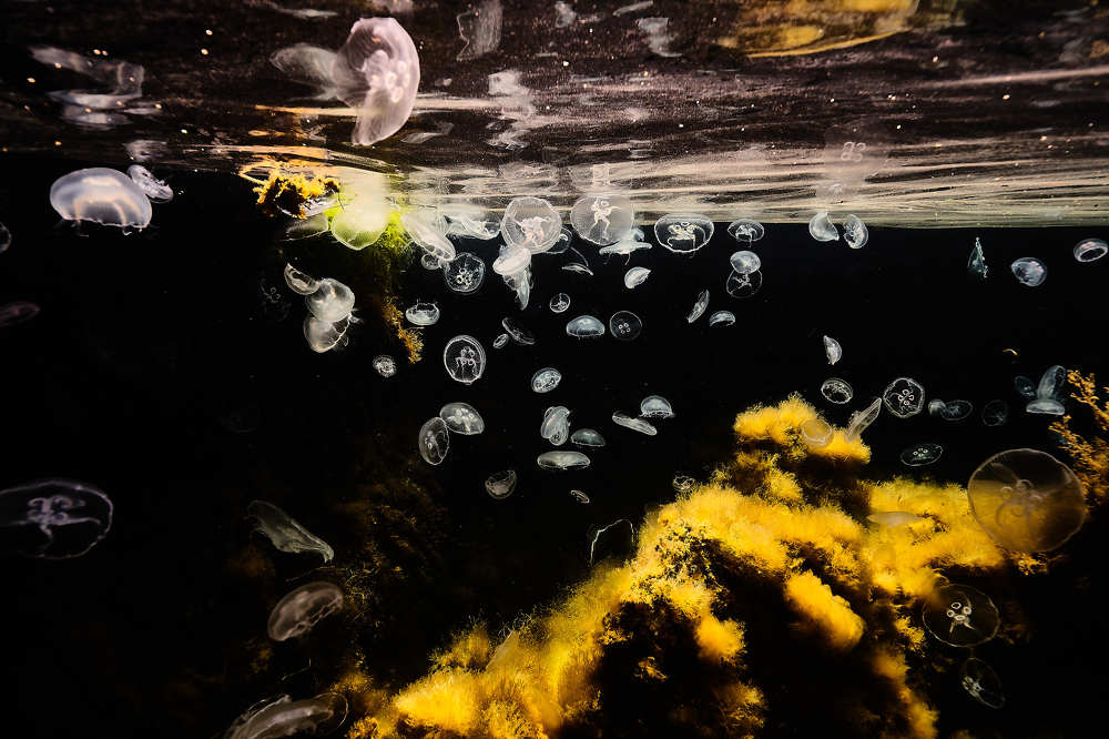 Photograph by Павел Карчевский